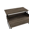 DEPOT E-SHOP Viena Lift Top Coffee Table, Flexible Shelf, Two Legs , Dark Walnut