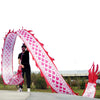 Lightweight Dragon Poi with 3D Dragon Head & Swing Rope Combo for Kids and Beginners, Flowy Dragon Ribbon Streamer Outdoor Fitness Golden Dragon Stage Prop Set