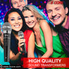 5 Core Premium Handheld Microphone Unidirectional Vocal Dynamic Cardioid Mic W Detachable 10ft XLR Cable Mic Clip Mesh Grille & ON/Off Switch Suited for Speakers Amp Mixers Karaoke Singing- PM100