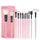 12pcs Pro Makeup Brushes Face Powder Eyebrows Eyeliners Lip Pencil Brush Bag