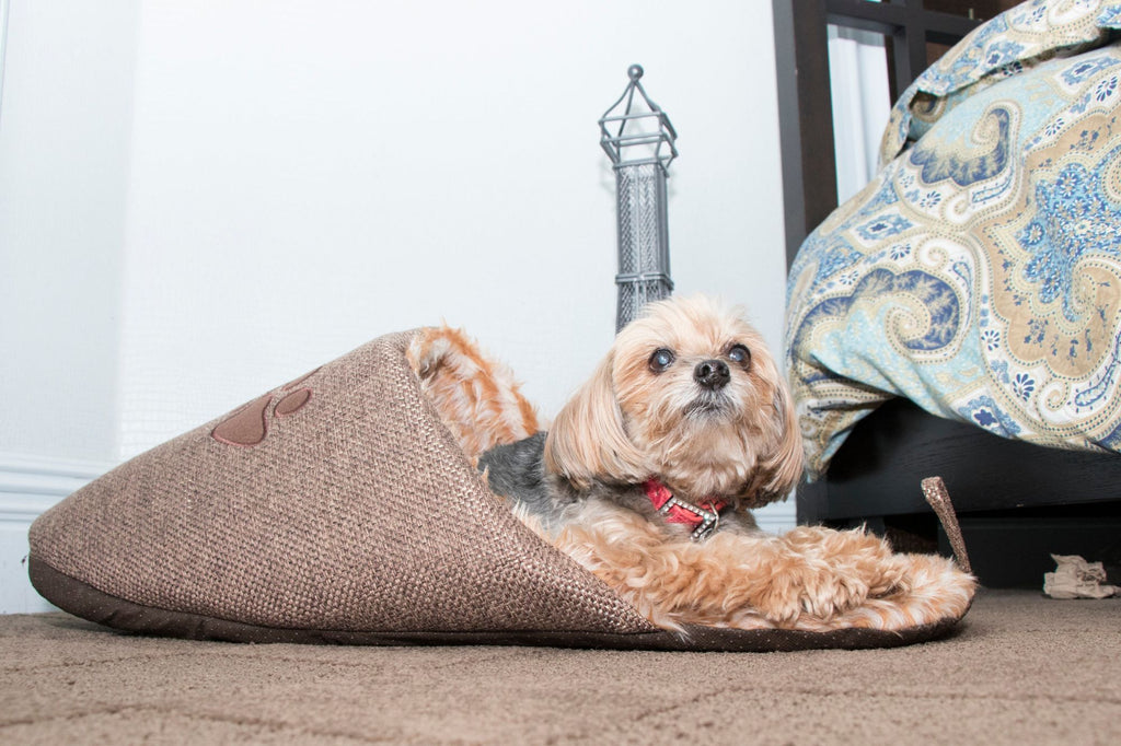 Slip-On Fashionable Slipper Dog Bed