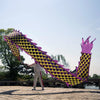 Lightweight Dragon Poi with 3D Dragon Head & Swing Rope Combo for Kids and Beginners, Flowy Dragon Ribbon Streamer Outdoor Fitness Golden Dragon Stage Prop Set